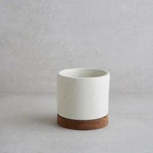 Cup w Coaster（带杯垫的杯子）